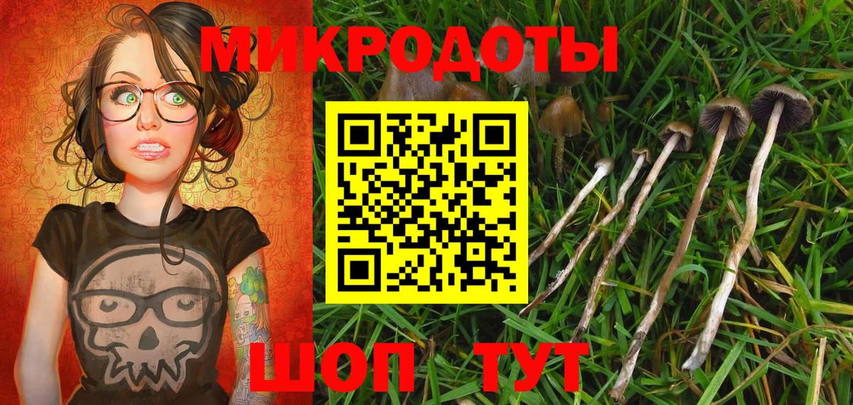 Галлюциногенные грибы мухоморы Лянтор
